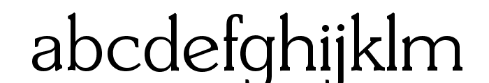 DerringerSerial-Light-Regular Font LOWERCASE
