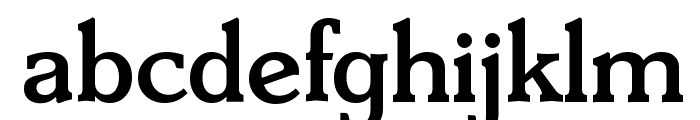 DerringerSerial-Medium-Regular Font LOWERCASE