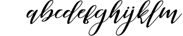 Delfia Scrip Font LOWERCASE