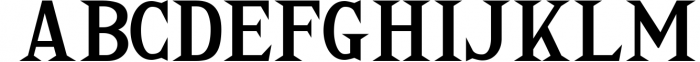 Delia - Regular & Bold Serif Font UPPERCASE