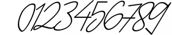 Delisha - Minimalist Monoline Script Font 1 Font OTHER CHARS