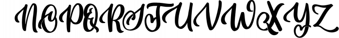 Dellicia Modern Calligraphy Font Font UPPERCASE