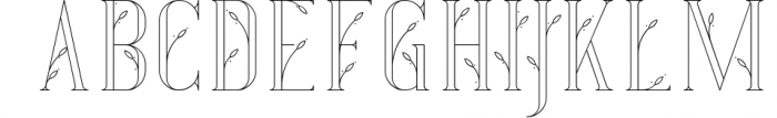 Desire - Luxury Serif Font 1 Font UPPERCASE