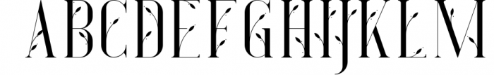 Desire - Luxury Serif Font Font UPPERCASE