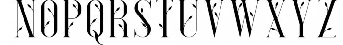 Desire - Luxury Serif Font Font UPPERCASE