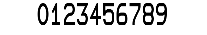 DEC-Terminal-Modern Font OTHER CHARS