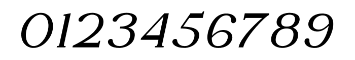 DENOVA Bold Italic Font OTHER CHARS