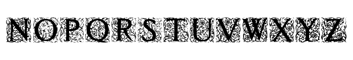 Decorated Roman Initials Font LOWERCASE