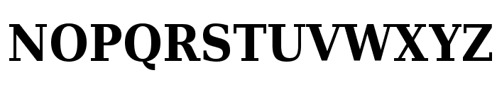DejaVu Serif Condensed Bold Font UPPERCASE