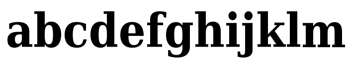 DejaVu Serif Condensed Bold Font LOWERCASE