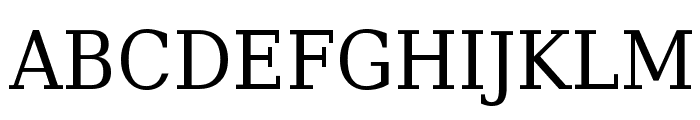 DejaVu Serif Condensed Font UPPERCASE