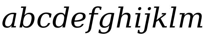 DejaVu Serif Italic Font LOWERCASE