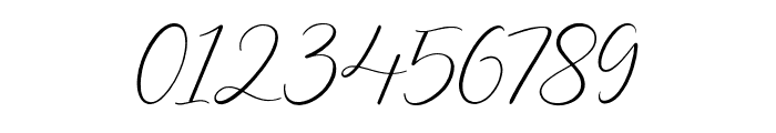 Delmon Delicate Script Font OTHER CHARS