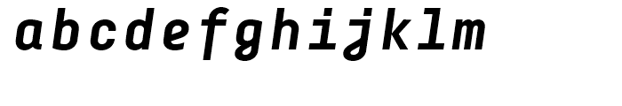 Decima Mono X Bold Italic Font LOWERCASE