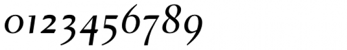 Dehjuti B Bold Italic Font OTHER CHARS