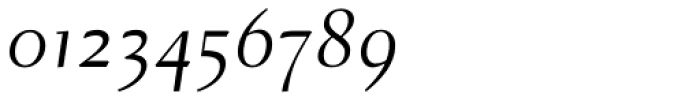 Dehjuti MS Italic Font OTHER CHARS