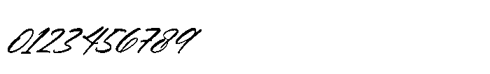 Delighta Italic Font OTHER CHARS