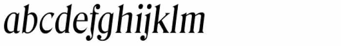 Denver Serial Italic Font LOWERCASE