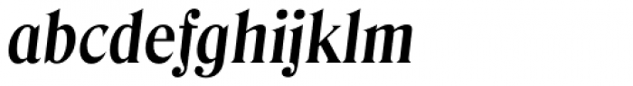 Denver TS DemiBold Italic Font LOWERCASE