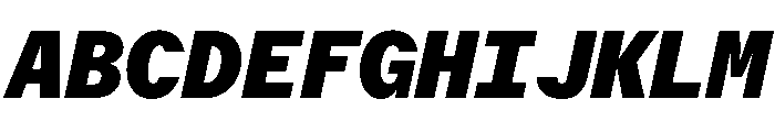 Delegate Mono Black Italic Font UPPERCASE