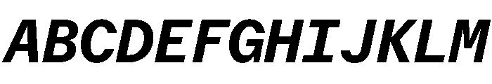 Delegate Mono Bold Italic Font UPPERCASE
