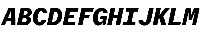 Delegate Mono Heavy Italic Font UPPERCASE