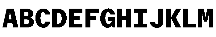 Delegate Mono Heavy Font UPPERCASE
