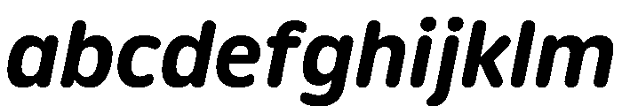 Detail BoldItalic Instance FONT