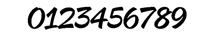 Delfino Script Regular Font OTHER CHARS
