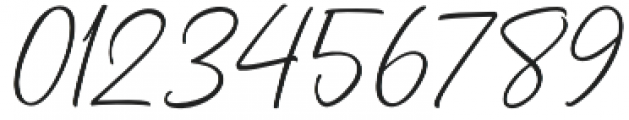 Dhanikans Signature Italic otf (400) Font OTHER CHARS