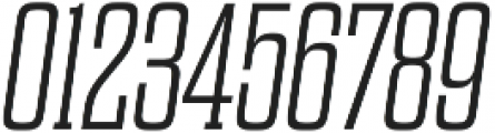 Dharma Slab E ExLight Italic otf (300) Font OTHER CHARS