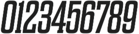 Dharma Slab E Regular Italic otf (400) Font OTHER CHARS