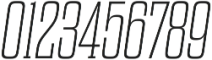Dharma Slab E Thin Italic otf (100) Font OTHER CHARS