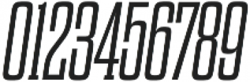 Dharma Slab M Light Italic otf (300) Font OTHER CHARS