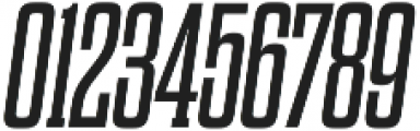 Dharma Slab M Regular Italic otf (400) Font OTHER CHARS