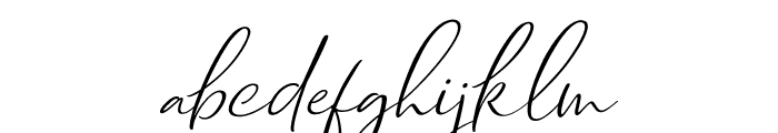 Dhanikans Signature Italic Italic Font LOWERCASE
