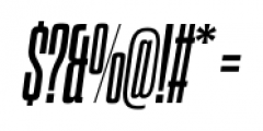 Dharma Slab C Bold Italic Font OTHER CHARS