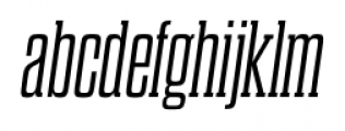 Dharma Slab M Light Italic Font LOWERCASE