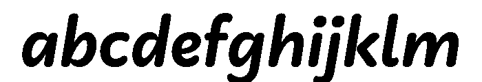 Didactica Black Italic FONT