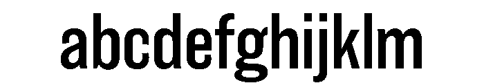 Din Condensed Variable Light FONT