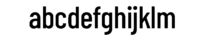Din Condensed Variable Medium FONT