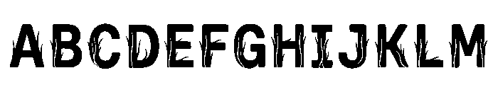 Dianthus Regular FONT