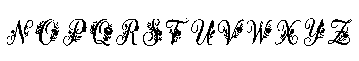 Dilara Regular Font UPPERCASE