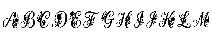 Dilara Regular FONT