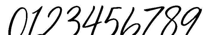 Disandra Font OTHER CHARS