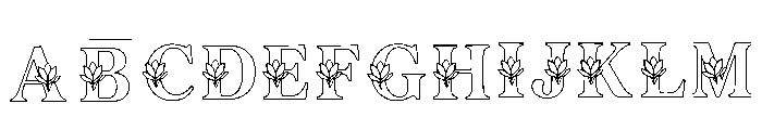 Diver Regular FONT
