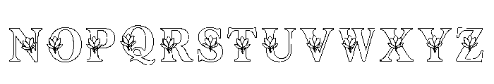 Diver Regular Font LOWERCASE