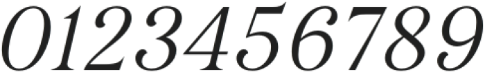 Dialecta Display Light Italic otf (300) Font OTHER CHARS