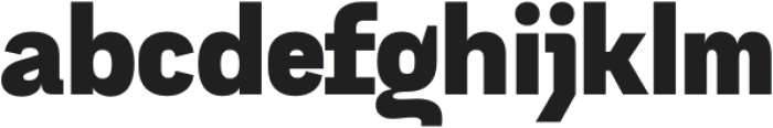 Dignity Grotesk Black otf (900) Font LOWERCASE