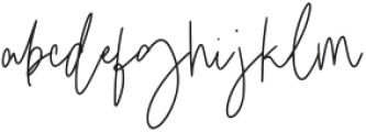 Dirallie Signature Regular otf (400) Font LOWERCASE